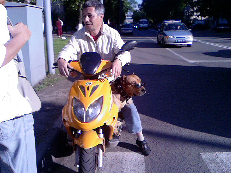 Неожиданные встречи