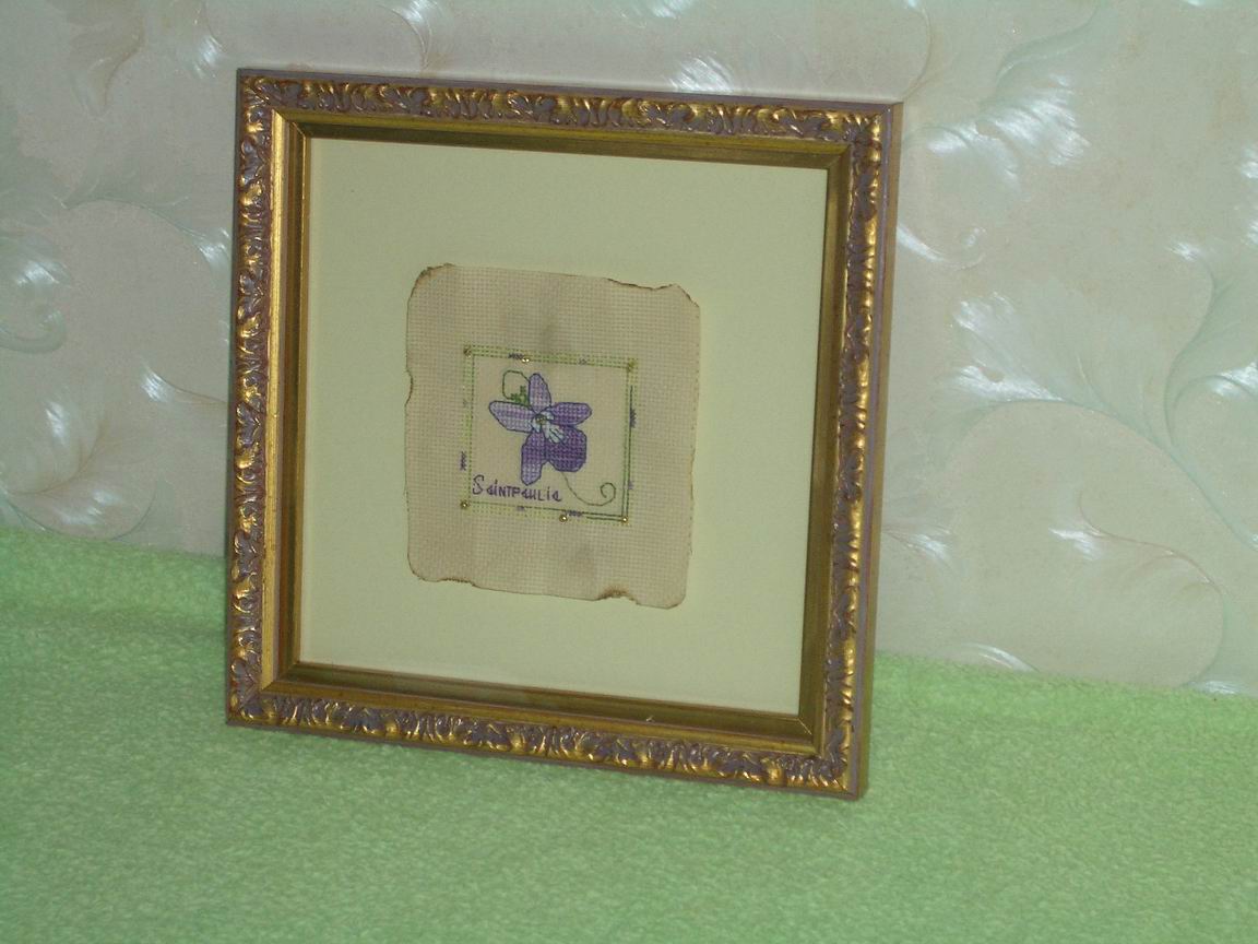 Просто Сенполия. Мои работы