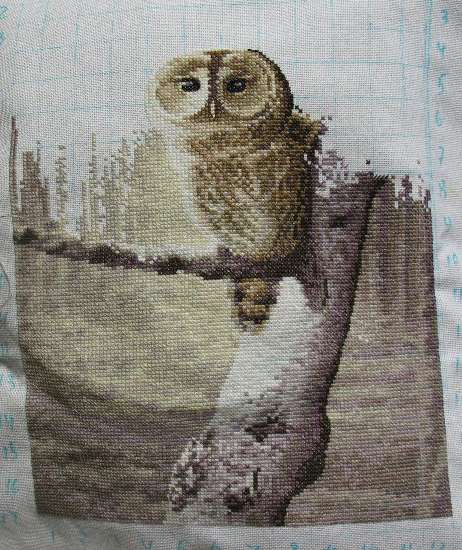 Процесс 'Ночной дозорный' Херитаж