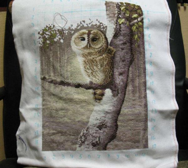 Процесс 'Ночной дозорный' Херитаж