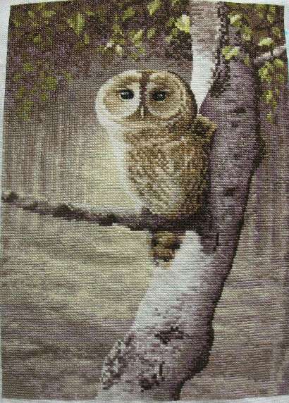 Процесс 'Ночной дозорный' Херитаж