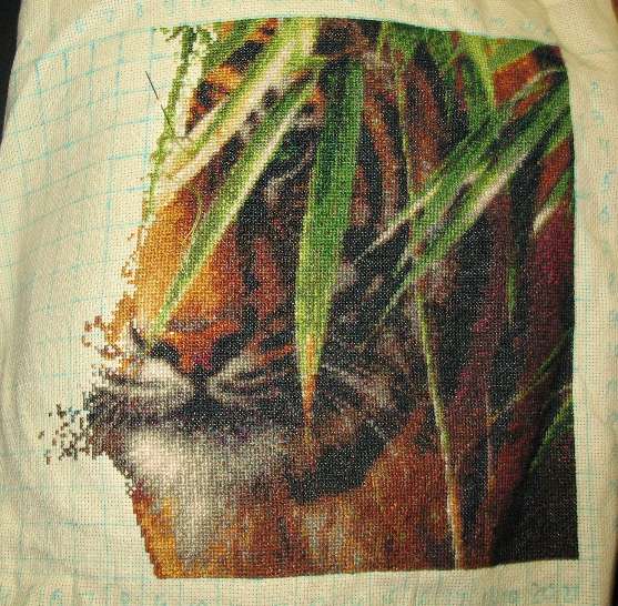  Процесс 'Ожидающий тигр' КК