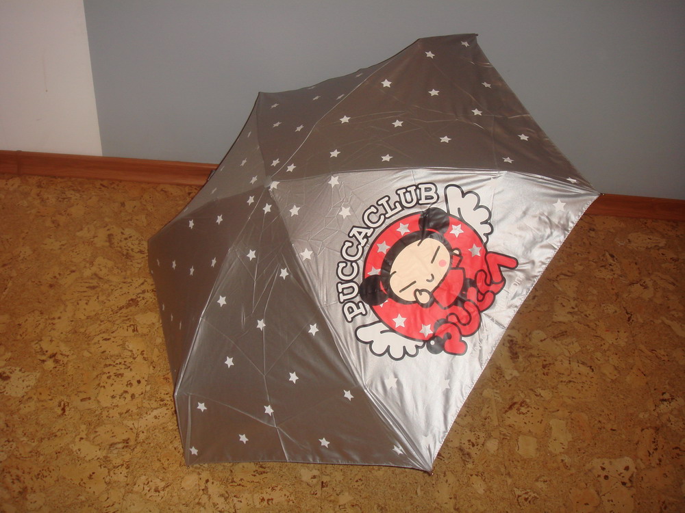 L507 Pucca Tiny. старые модельки, старые расцветки