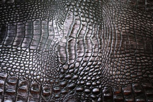 кожа. Обувь