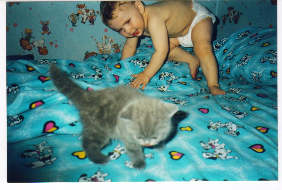 Котёнок. Ребенок и   котенок