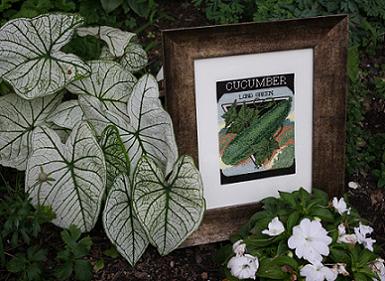 Огурец из серии 'Овощи'.. Мои работы