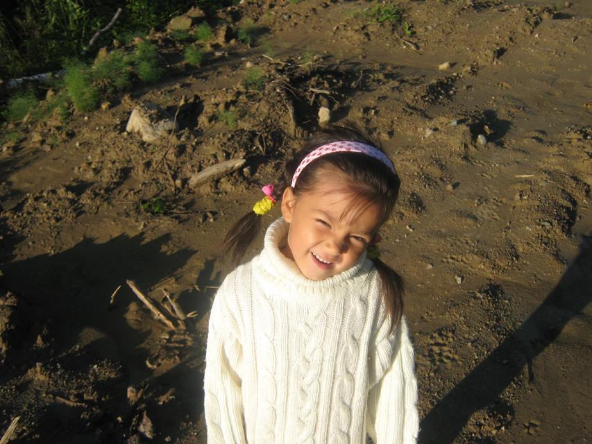 Мои воробышки