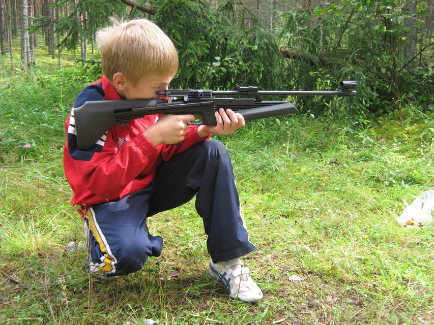 Лужские леса. Мои воробышки