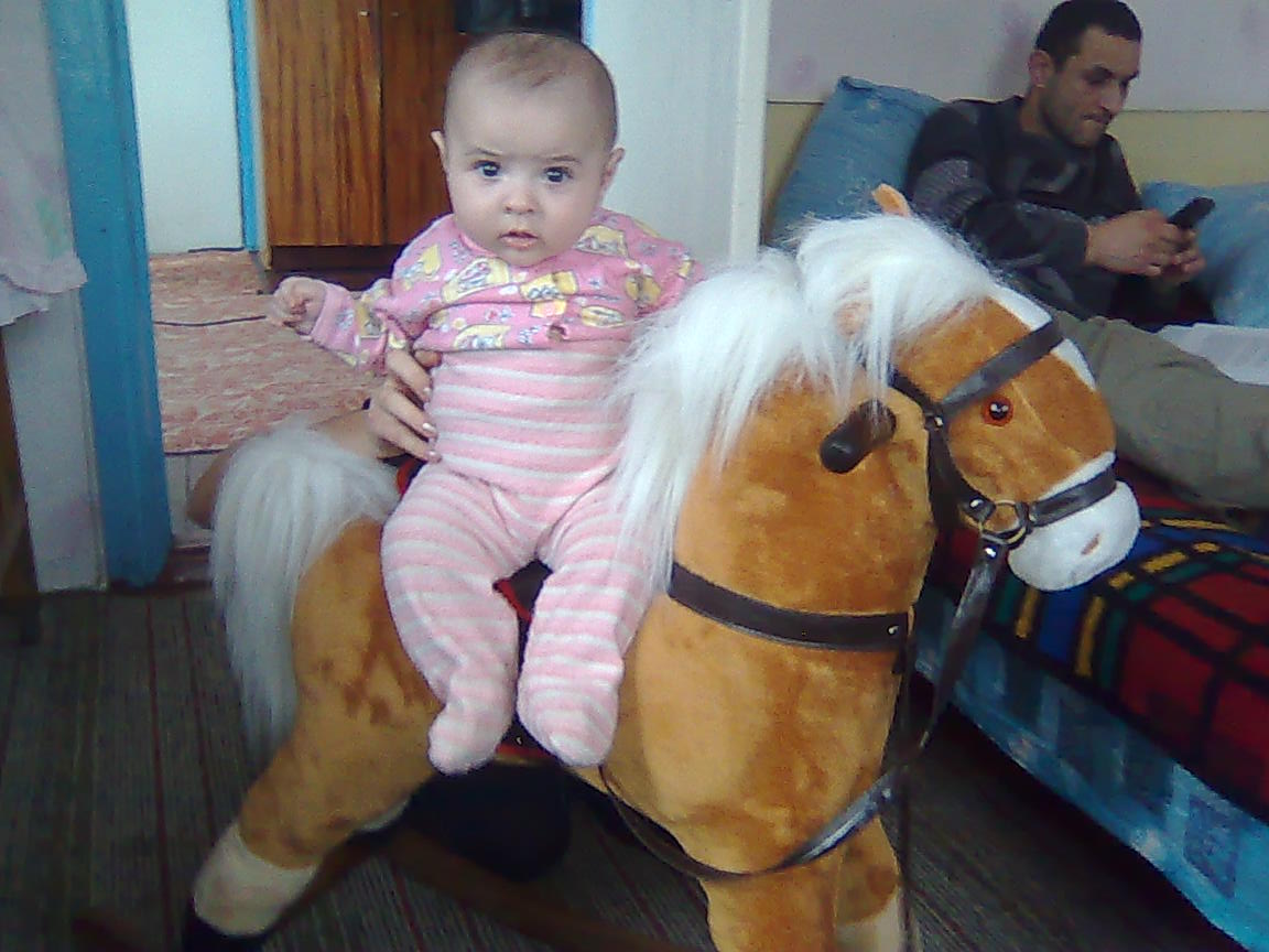 Моя любимая лошадка. Мои игрушки