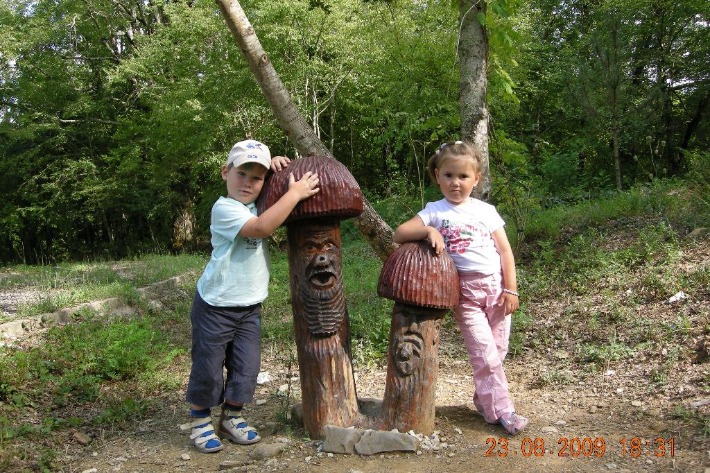 Мои грибочки. Лето 2009