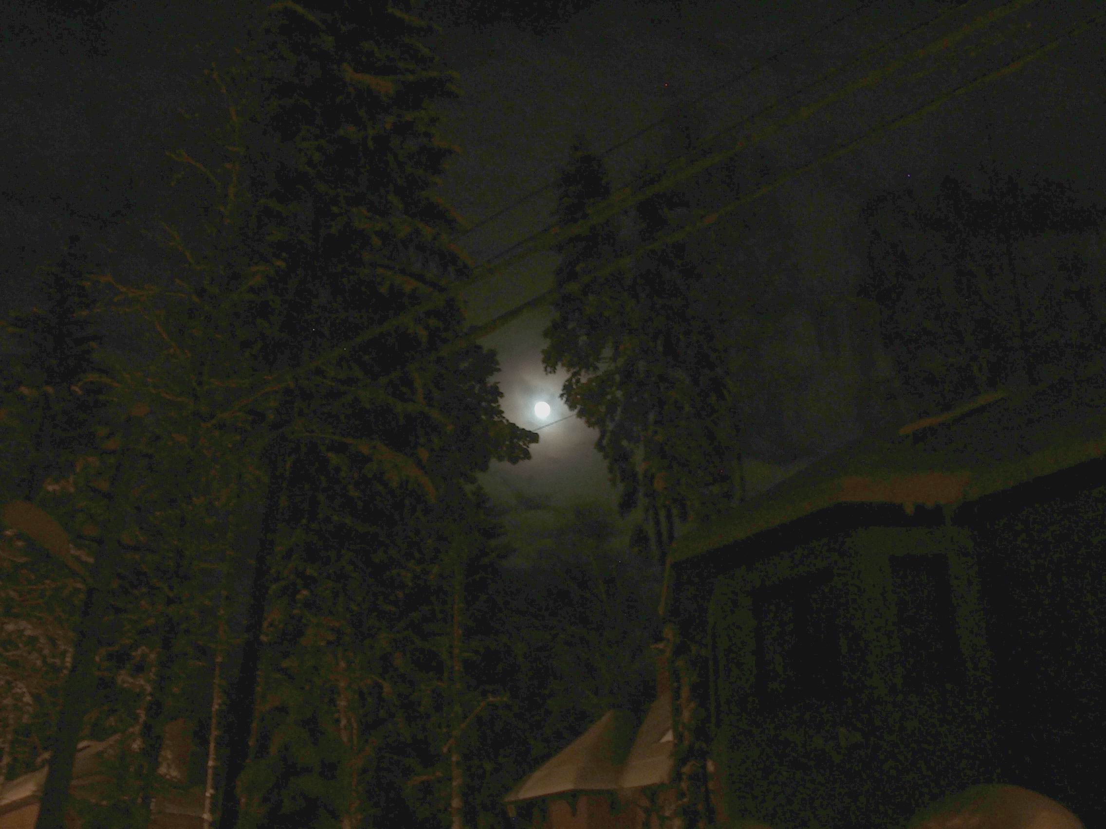 Позор хреновому огороднику!. 