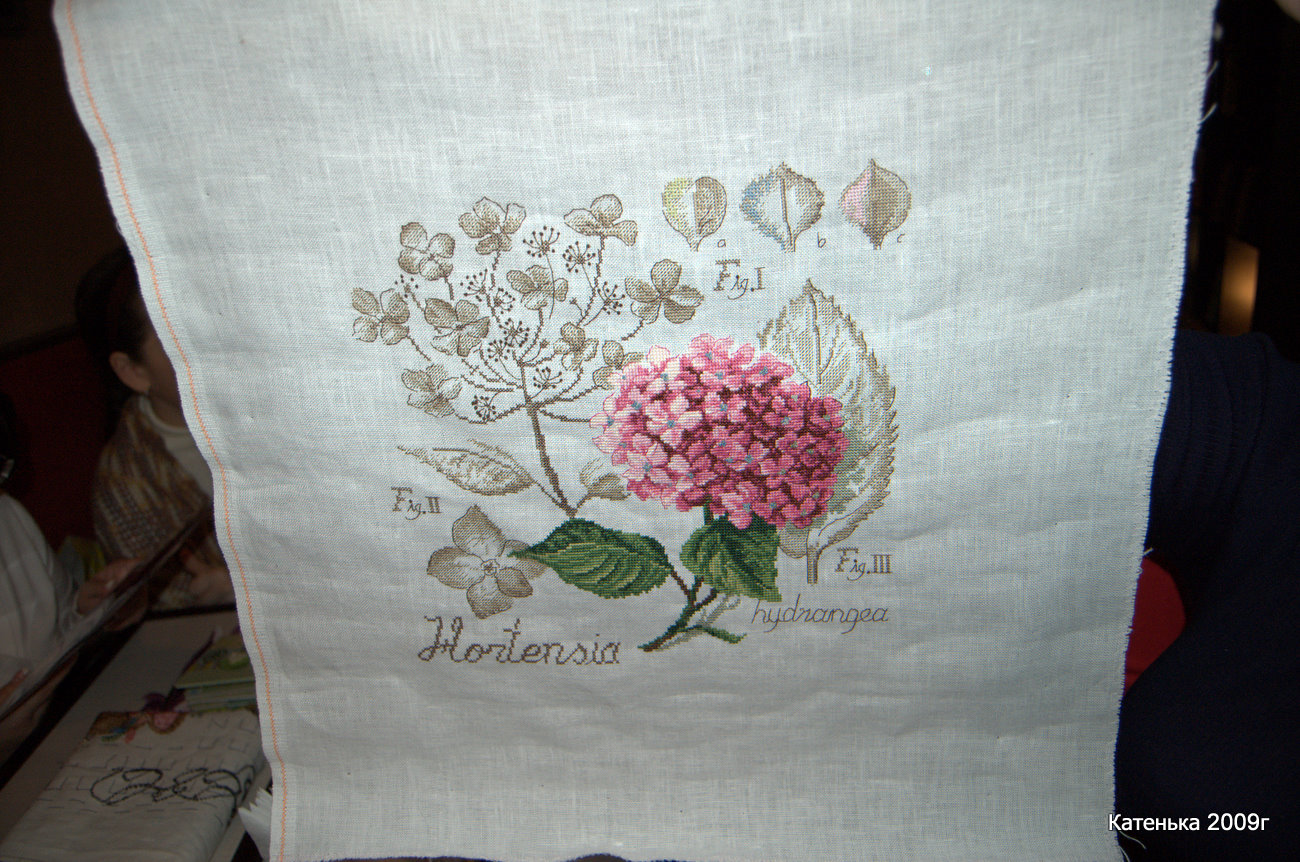 Гортензия. Встреча 08-01-10