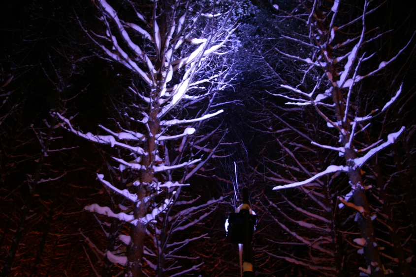 Великий Устюг