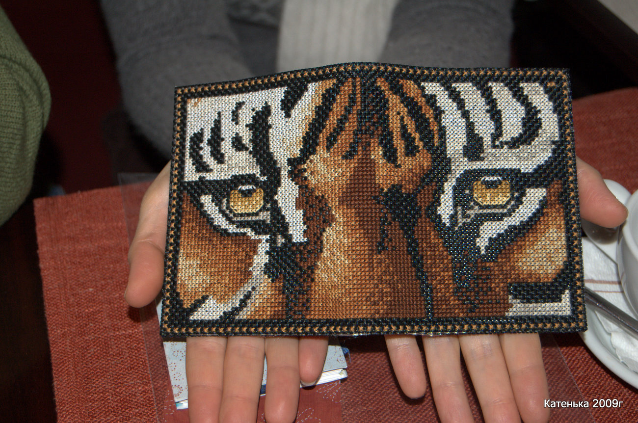 Кошелек 'Году Тигра посвящается'. Встреча 08-01-10