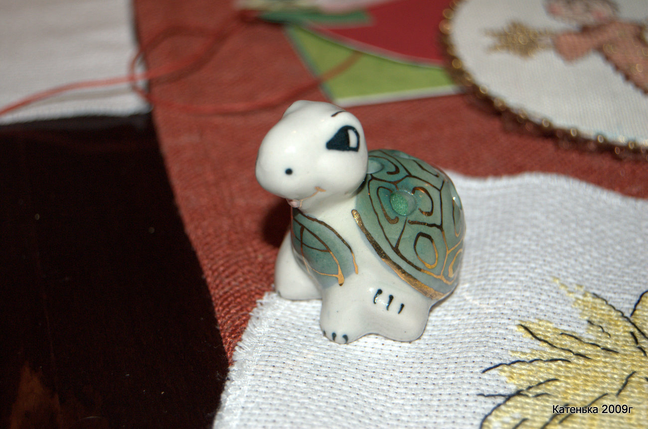 Черепашка. Встреча 08-01-10