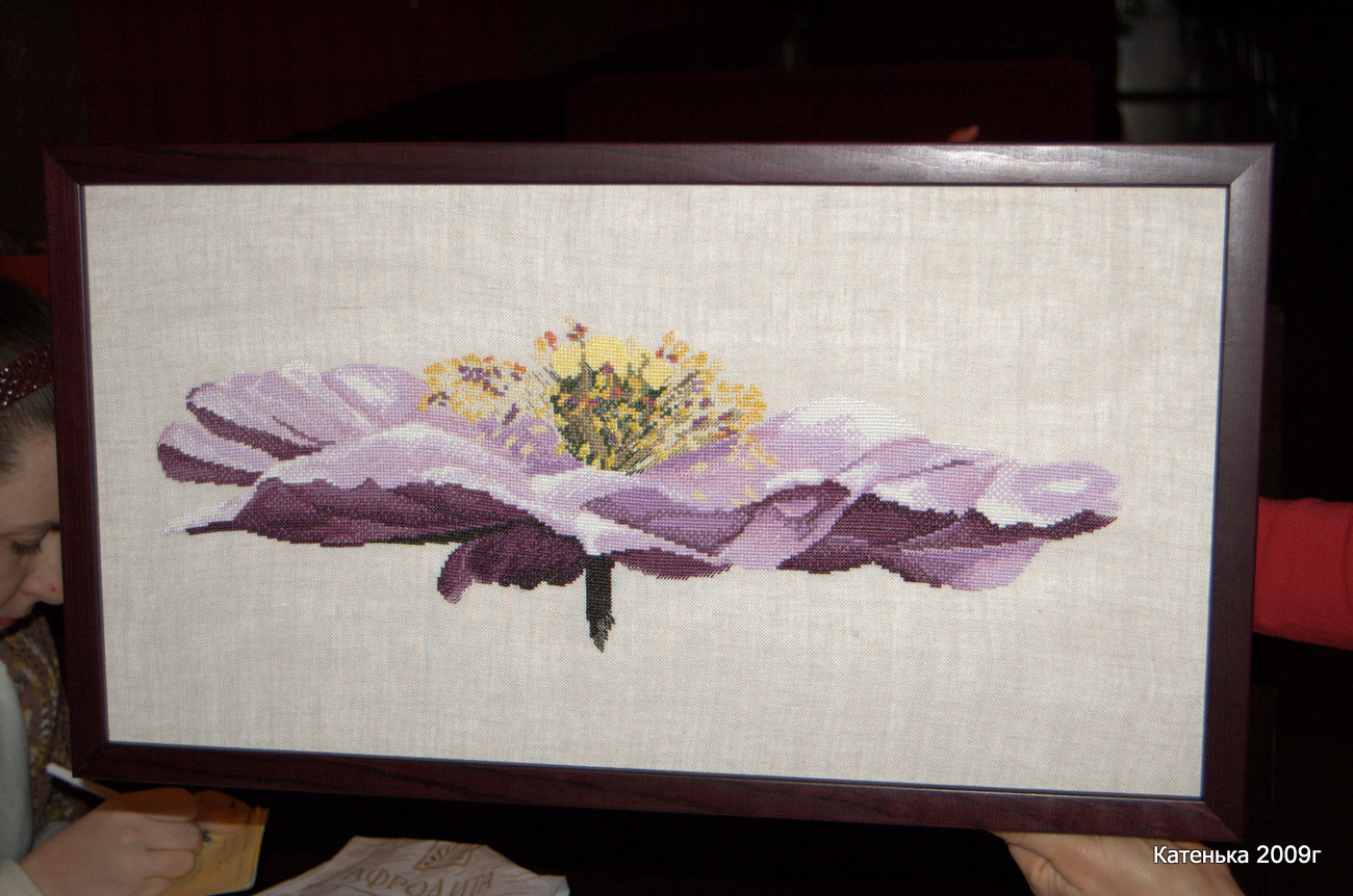 Анемон ДМС. Встреча 08-01-10