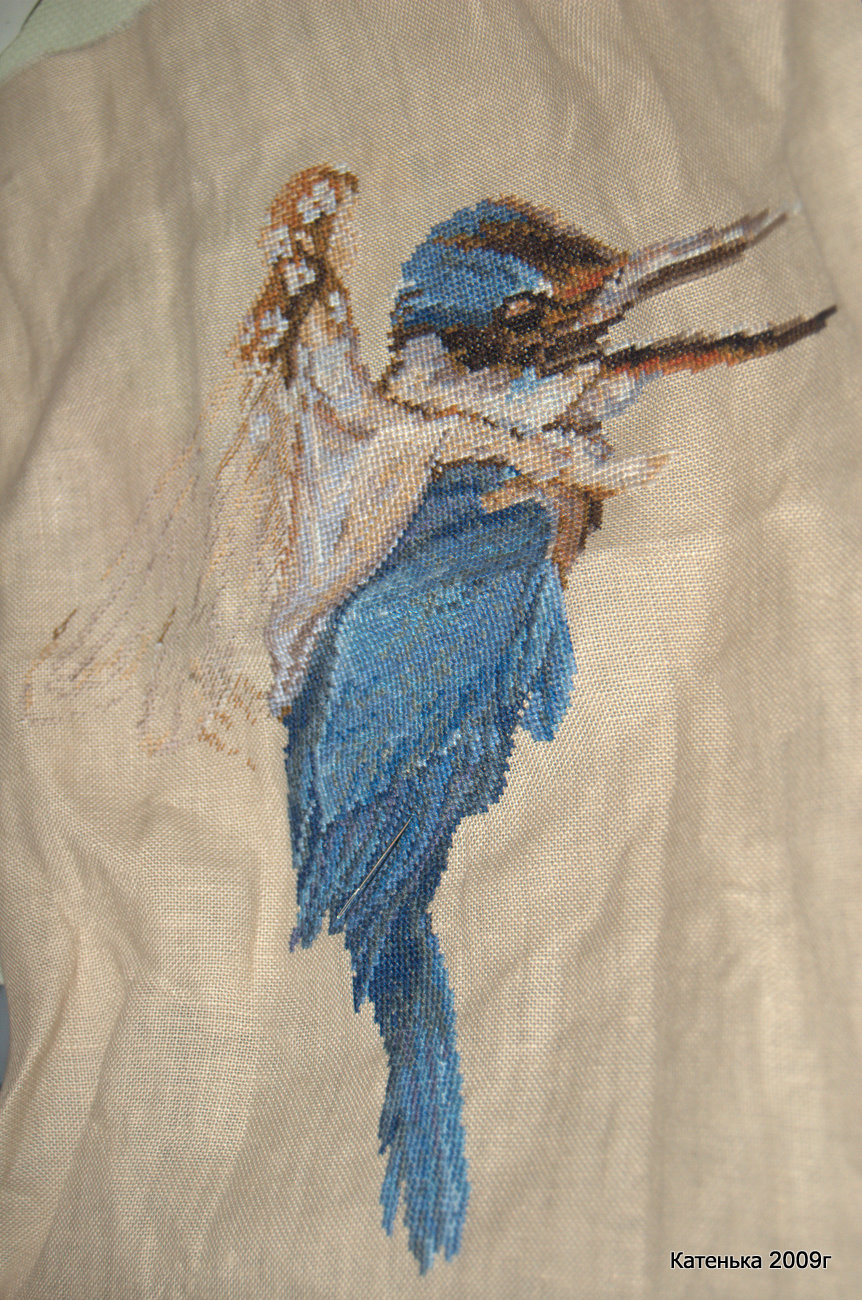 Процесс Синей птицы. Встреча 23-01-10