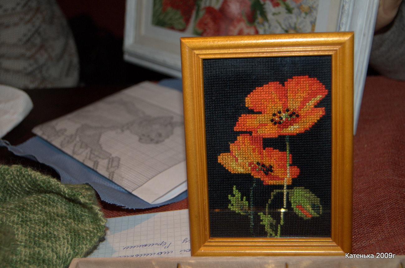 Маки. Встреча 23-01-10