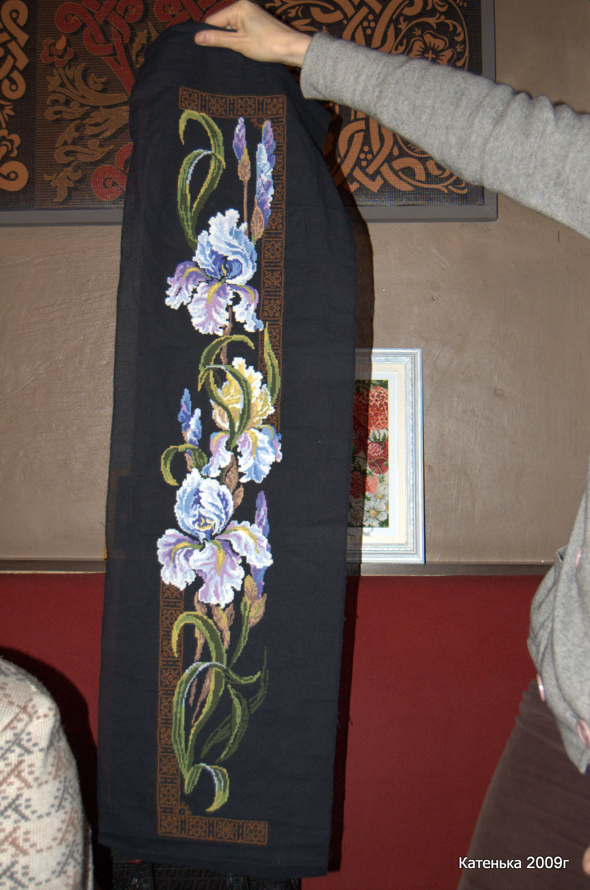 Ирисы. Встреча 23-01-10