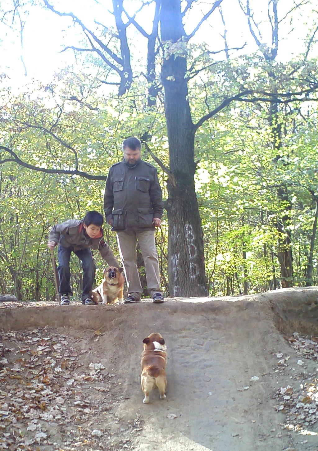 Осеннее настроение