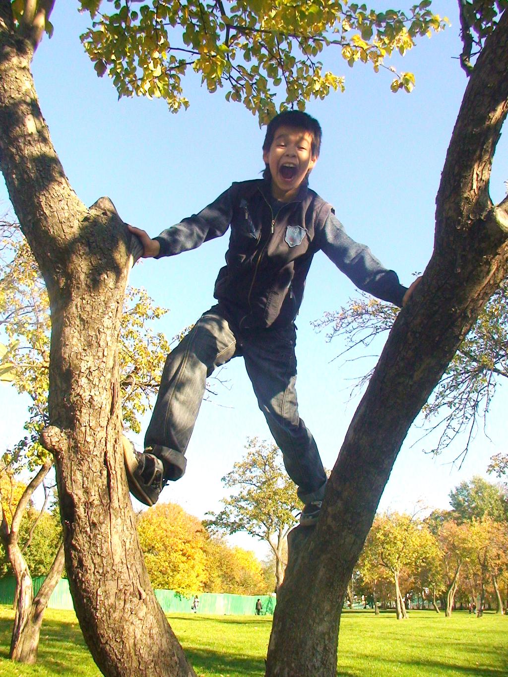 Осеннее настроение