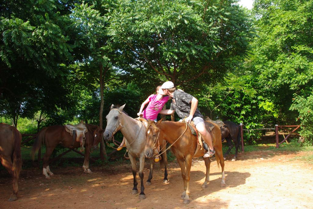 Катались на лошадях по кофейным полям)). Куба