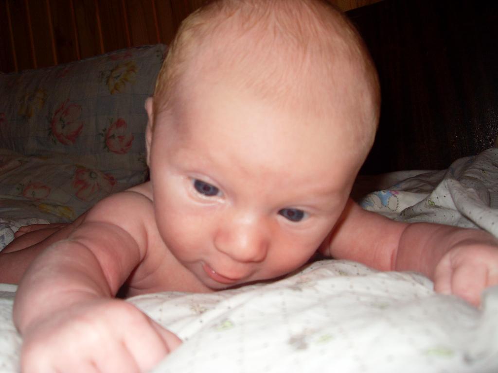 две недельки. учимся держать головку. 