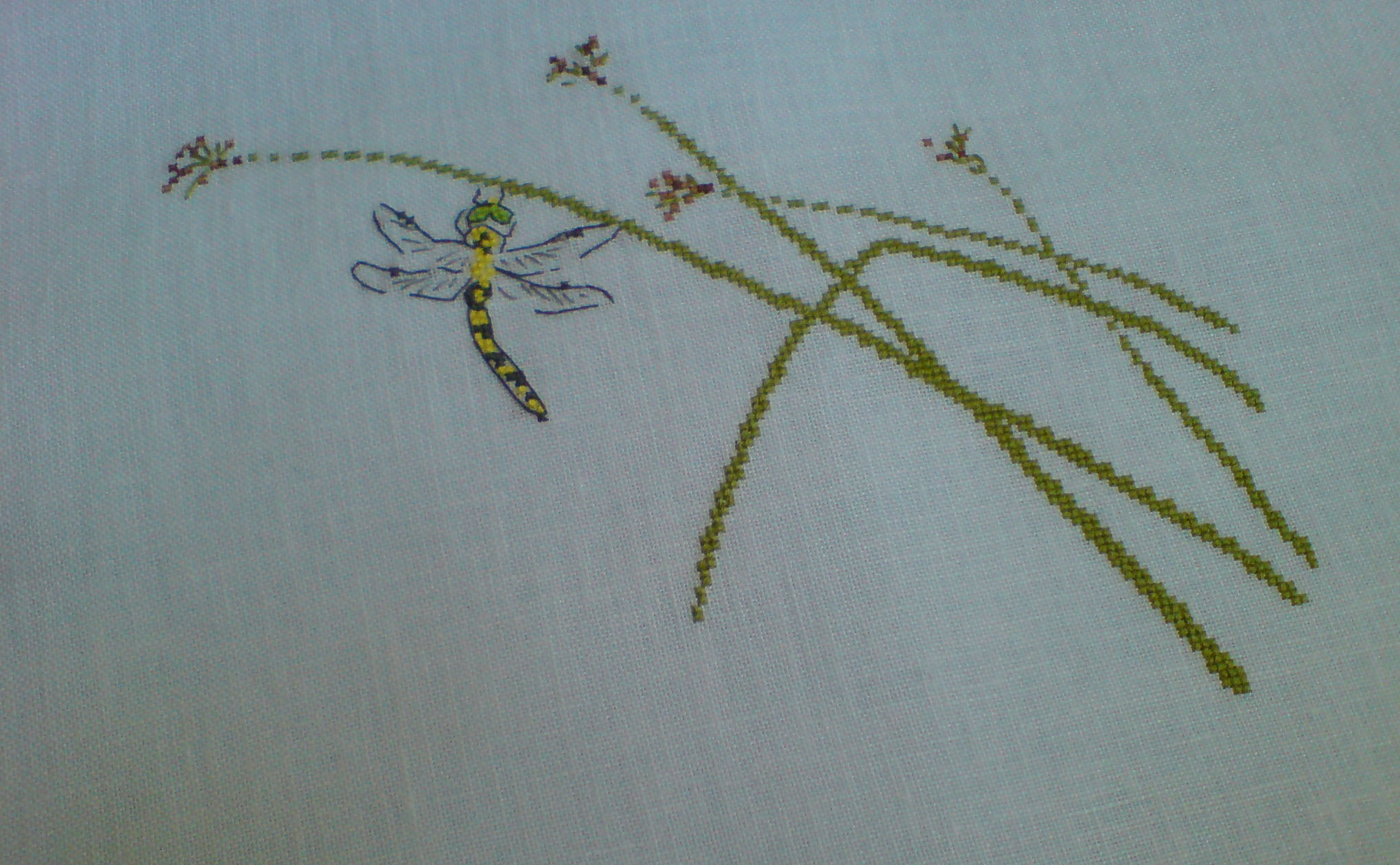 Dragonfly
. Мои работы