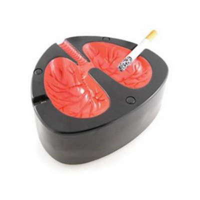 подарки Э*в*р*и*к*а