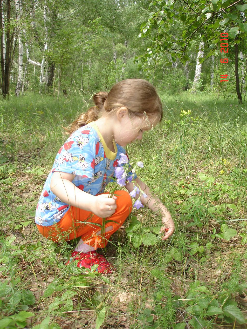 Девочка в лесу собирала грибы. Собирать ягоды. Девочка в лесу собирает ягоды. Девочка в лесу собирает грибы. Дети собирают ягоды.