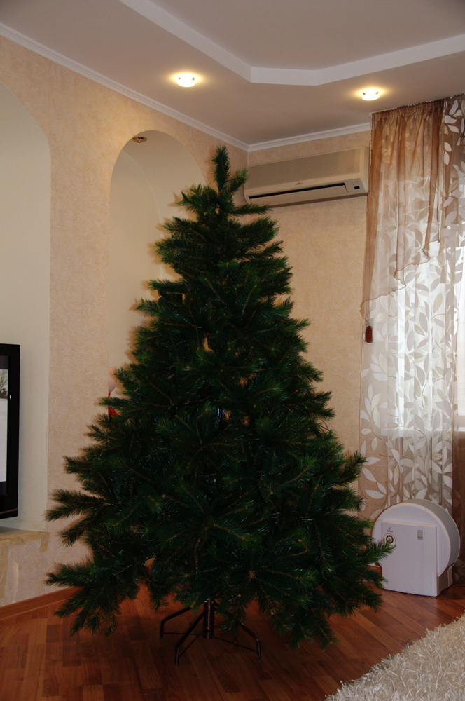 СОСНА РОЯЛ ОРЕГОН 195