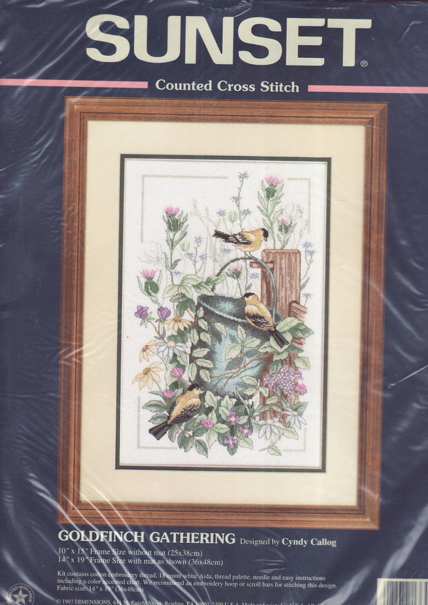 13641 Goldfinch gathering. Sunset 1