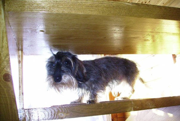 Красавчики