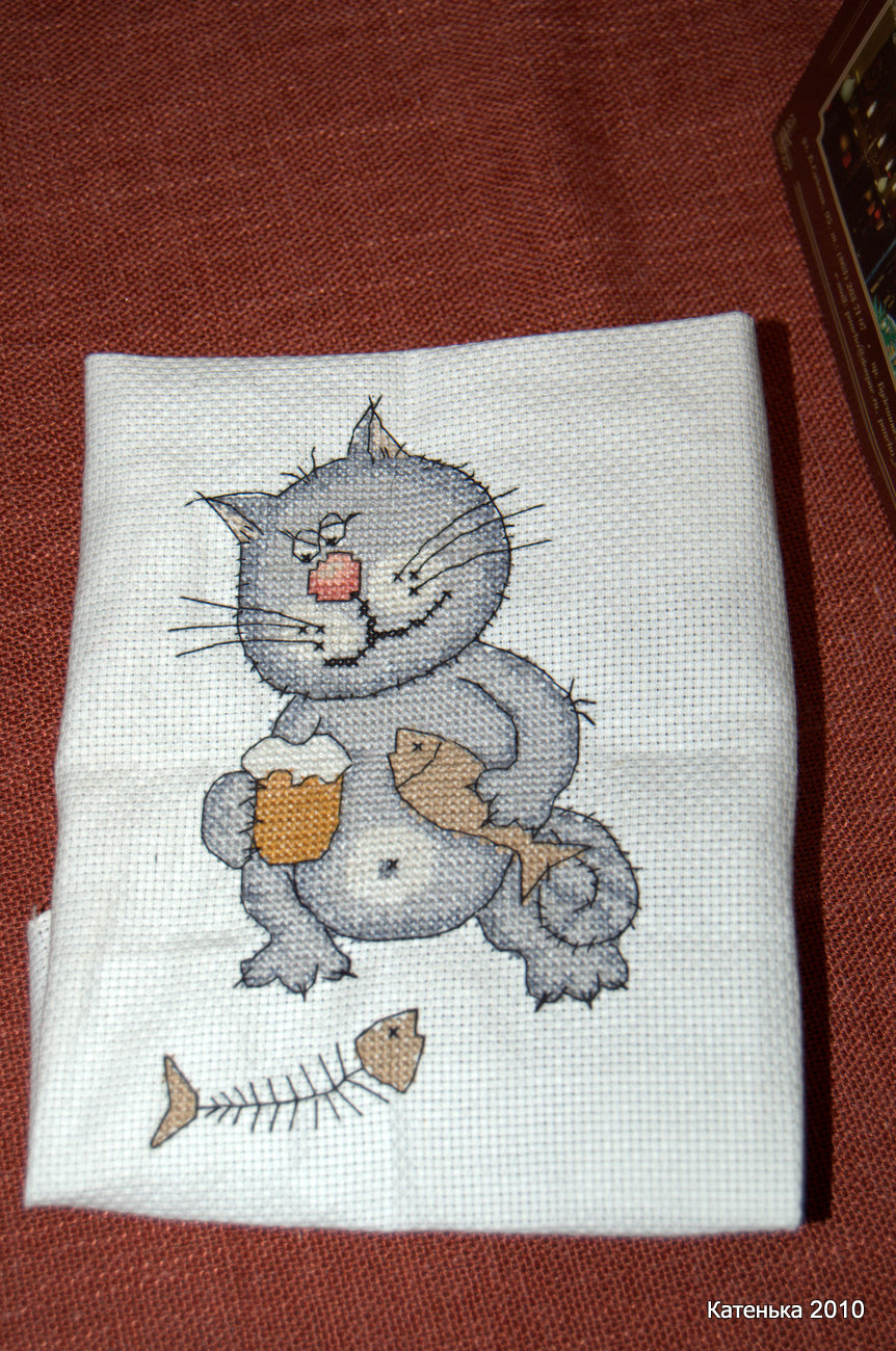 Котенок. Встреча 18-12-10