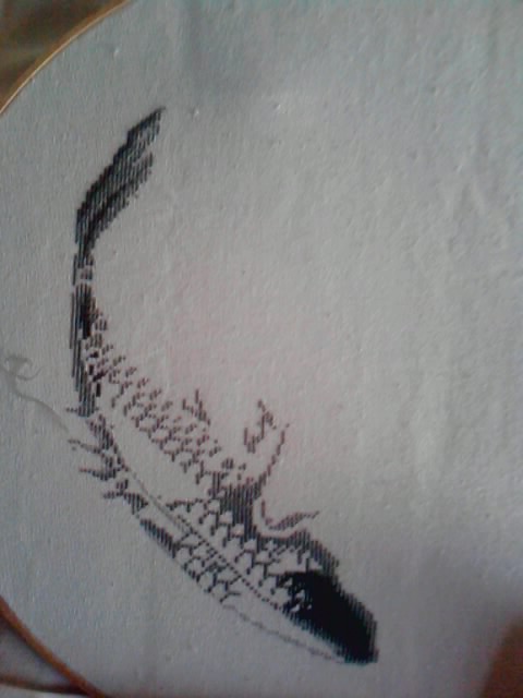 Iistitch21 230521 Harmony in the Bloom - в процессе