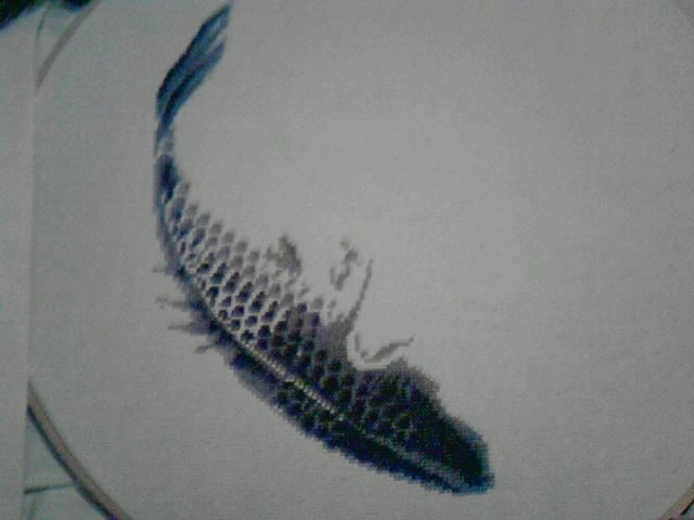 Iistitch21 230521 Harmony in the Bloom - в процессе