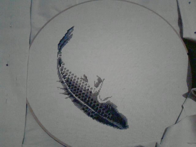 Iistitch21 230521 Harmony in the Bloom - в процессе