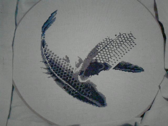 Iistitch21 230521 Harmony in the Bloom - в процессе