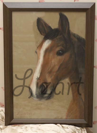 Мои картины