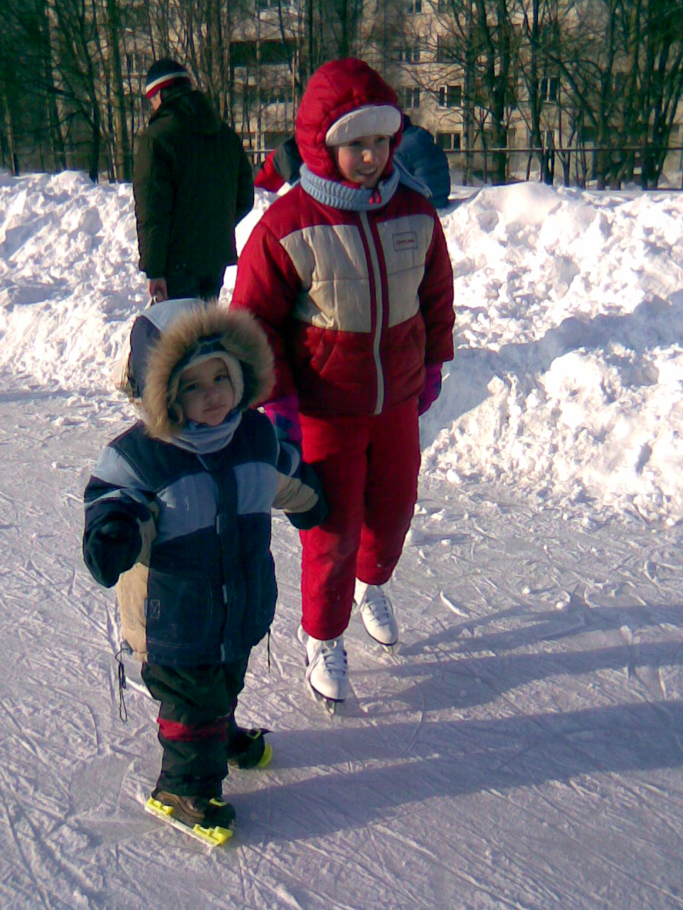 Коньки. 2010 год