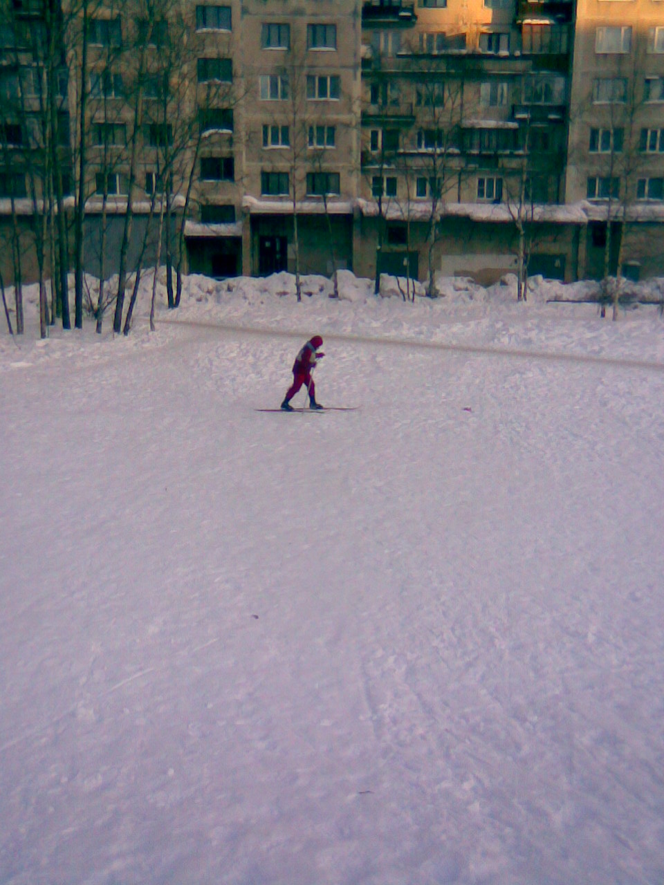 Лыжи. 2010 год