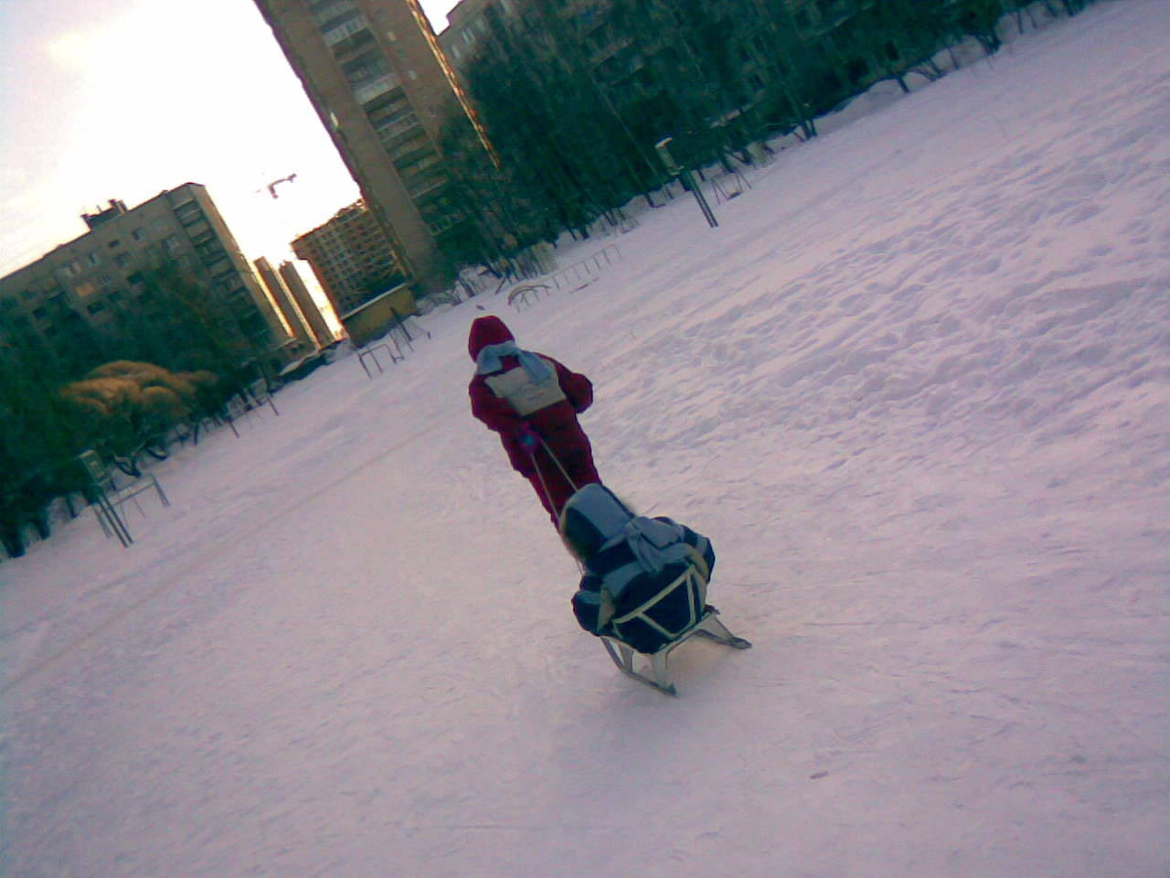 Санки. 2010 год