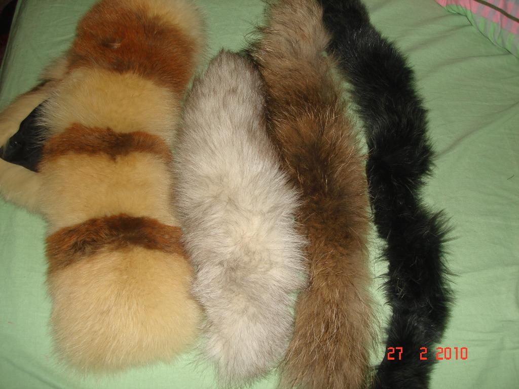 мех. опушки  хвоста нет. шапки-варежки,платки,палантины