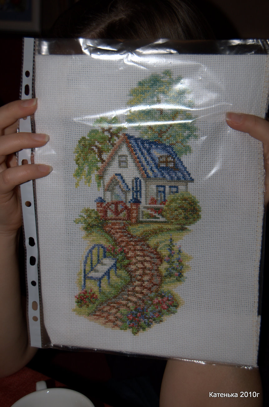 Домик. Встреча 06-02-10