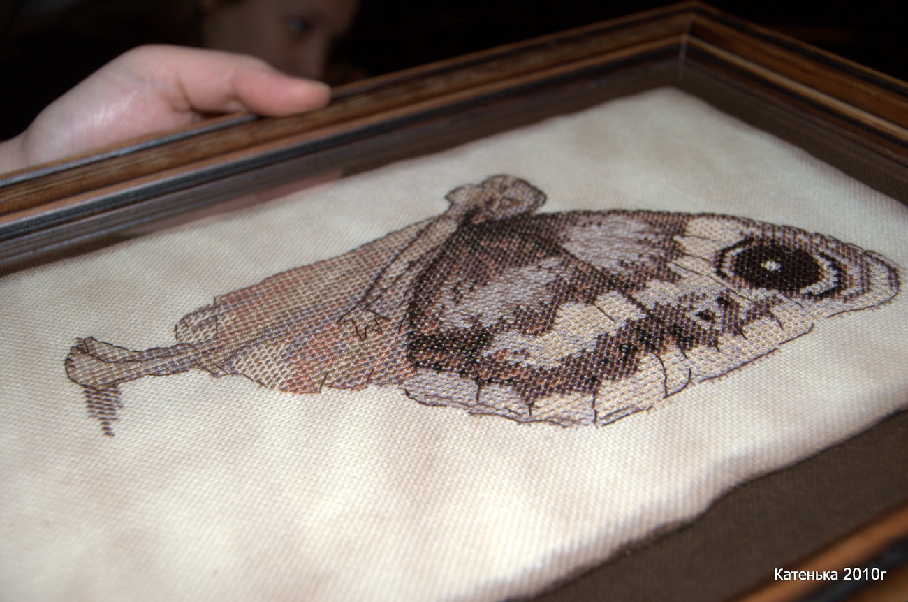 чуть ближе. Встреча 06-02-10