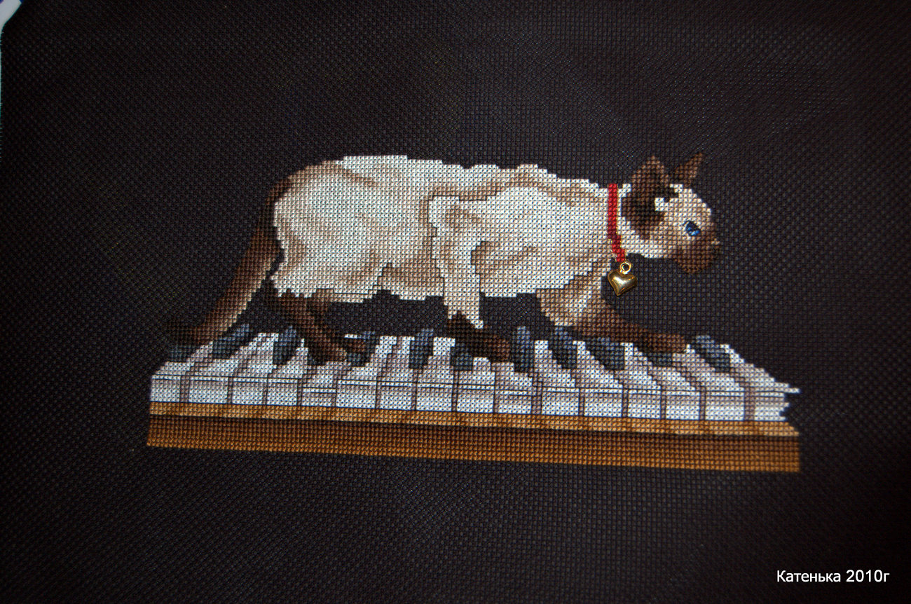 Музыкальный кот. Встреча 06-02-10