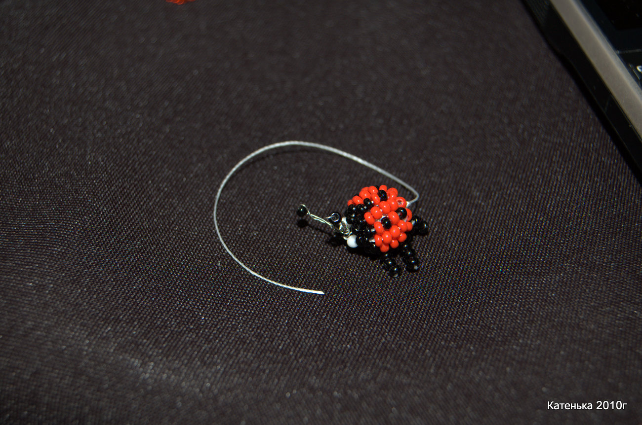 Божья коровка. Встреча 06-03-10