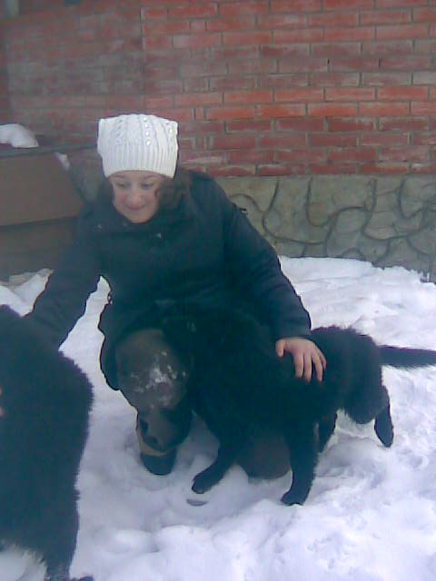 щенки. моя старшенькая доченька