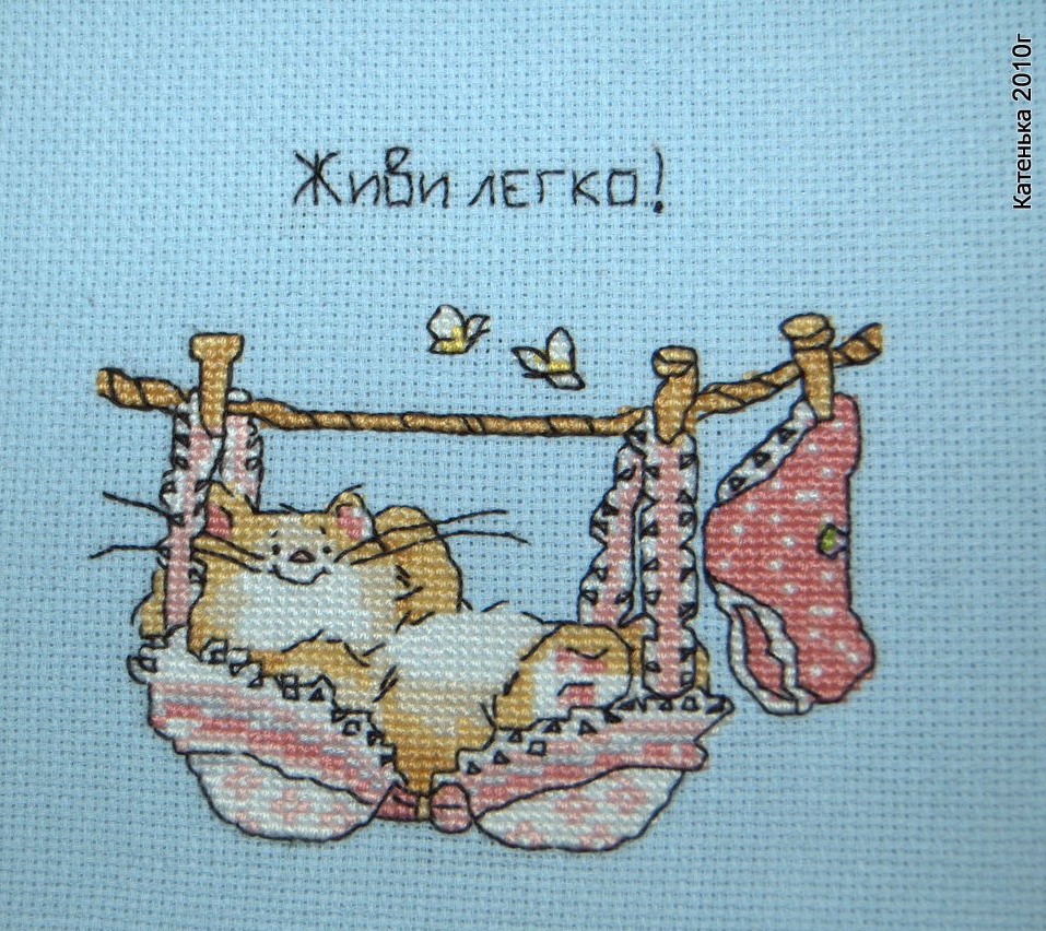Котенок :). Встреча 19-02-10