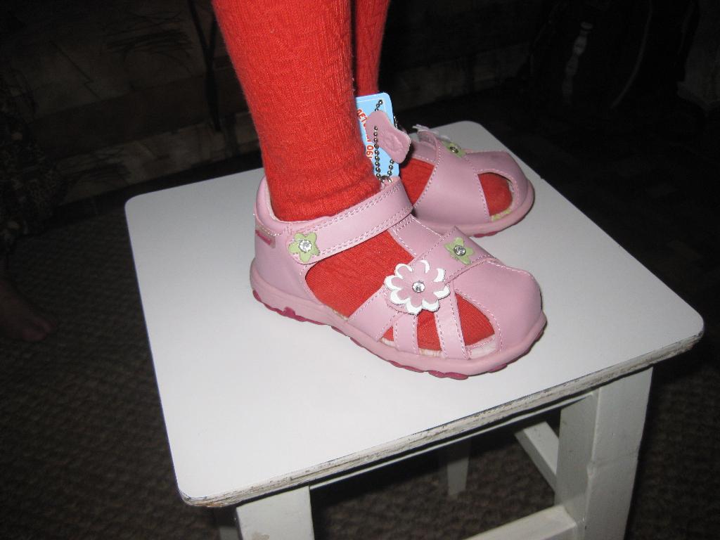 Артикул:	BS9293. Наши ХВАСТЫ